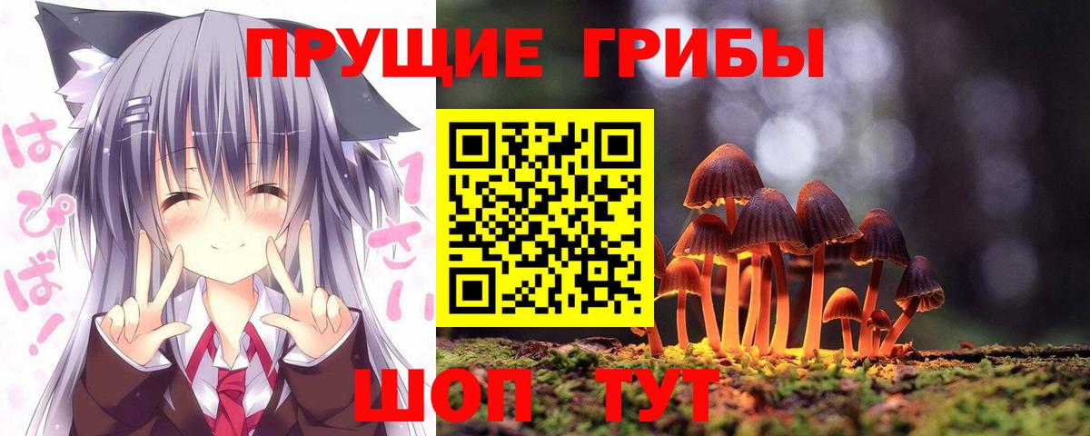 Псилоцибиновые грибы Magic Shrooms  наркошоп  Ульяновск  Вход с VPN 